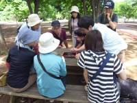 photo01