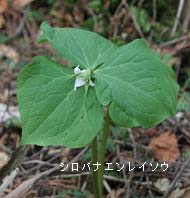 photo05