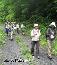 photo06
