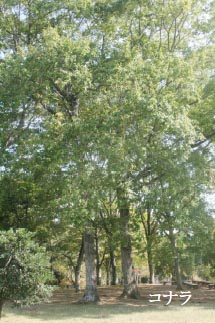 photo05
