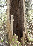photo03