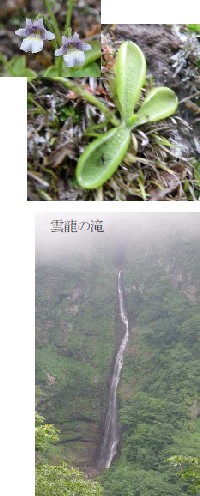 photo03