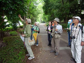 photo01