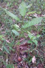 photo02
