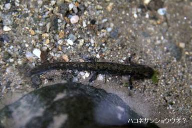 photo26