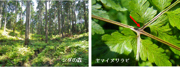 photo02