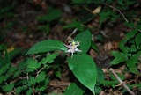 photo07