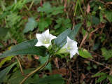 photo14