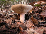 photo22