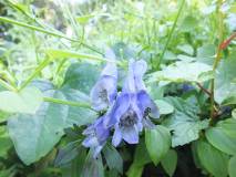 photo09