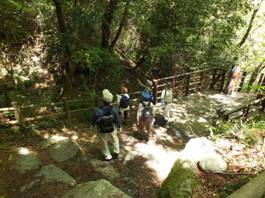 photo01